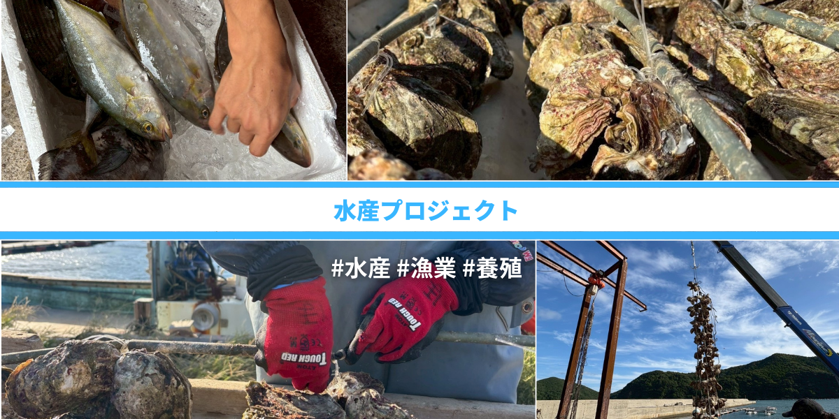 水産プロジェクト
